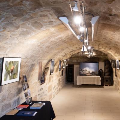 Pressoir d'Auvers sur Oise 15 et 16 juin 2019