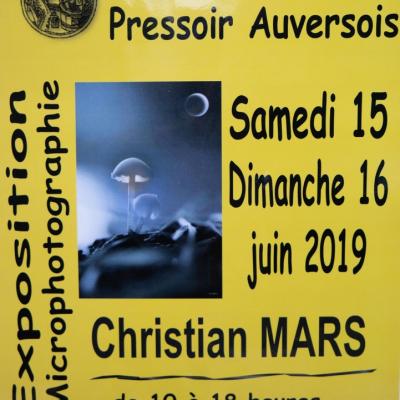Pressoir d'Auvers sur Oise 15 et 16 juin 2019