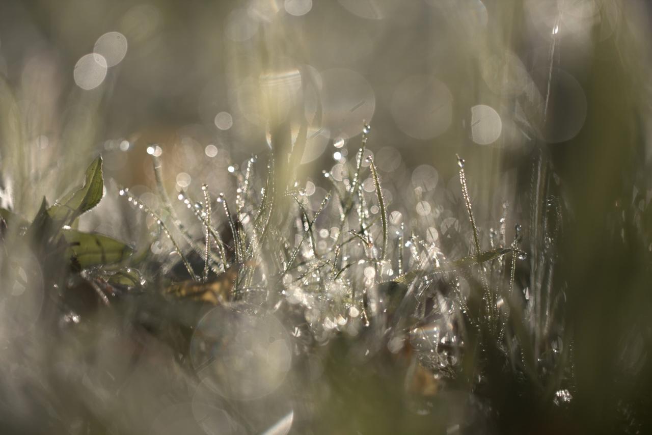 Expo J.h Lartigue de l'Isle Adam 2016 Monde mystérieux= 1è place