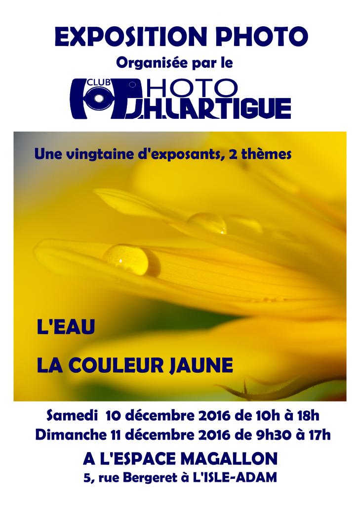 Expo J.h Lartigue de l'Isle Adam 2016