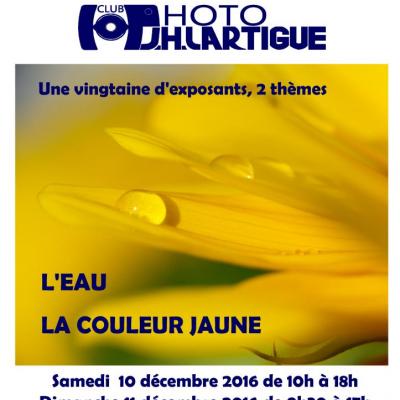 Expo J.h Lartigue de l'Isle Adam 2016