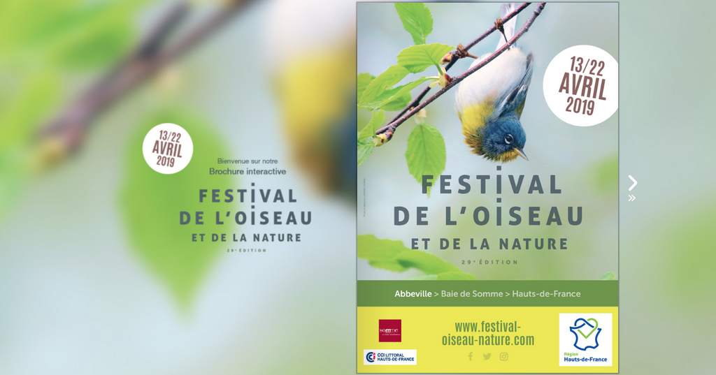  Concours festival de l'Oiseau 2019
