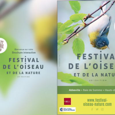  Concours festival de l'Oiseau 2019