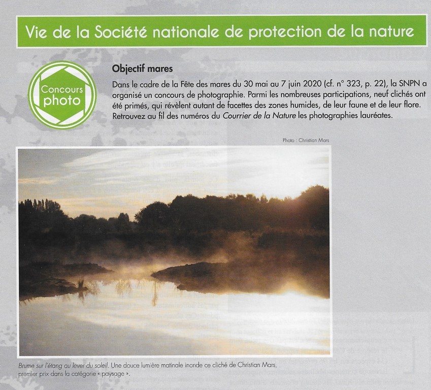  Concours SNPN, 1e Brume sur l'étang au lever du soleil