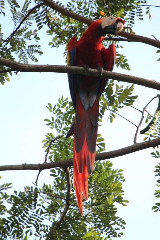 Costa Rica