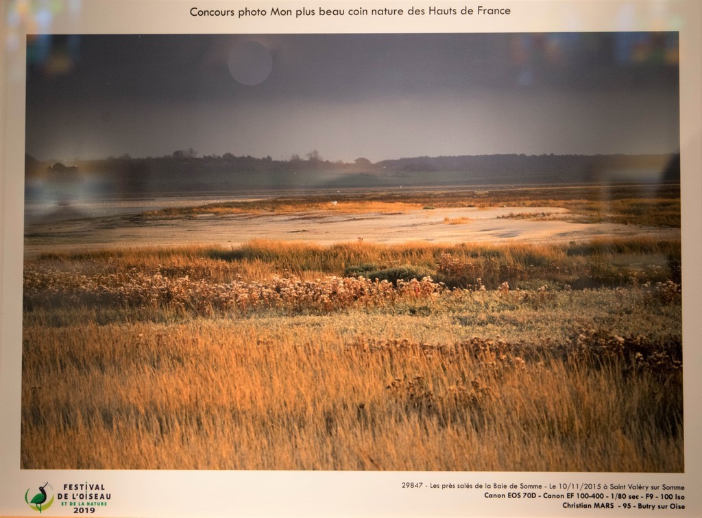  Festival de l'Oiseau et de la Nature 2019