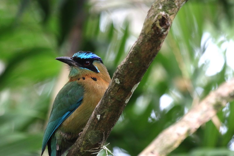 Costa Rica