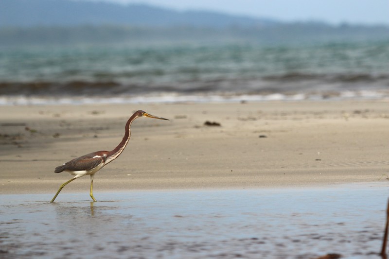 Costa Rica