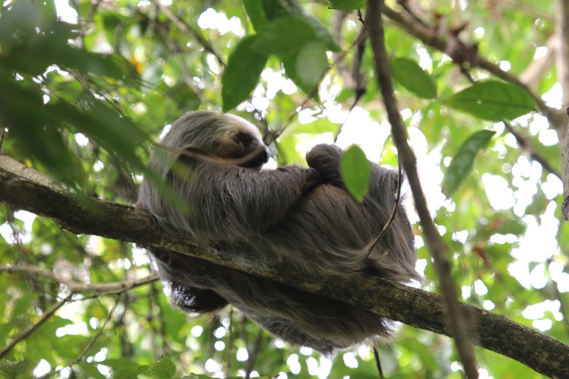 Costa Rica