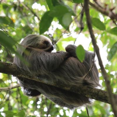 Costa Rica