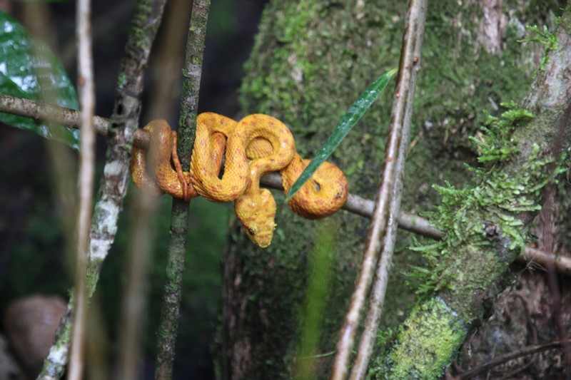 Costa Rica