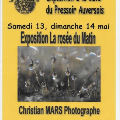 Expo à la cave du pressoir, Auvers sur Oise 13 et 14 mai 2017