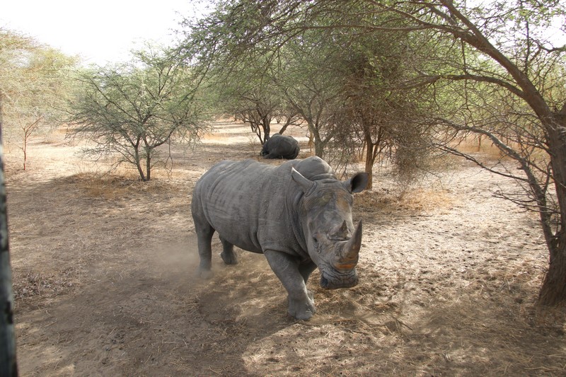 Sénégal