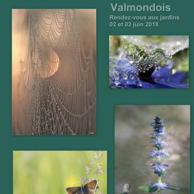 RV des jardins Valmondois 2018