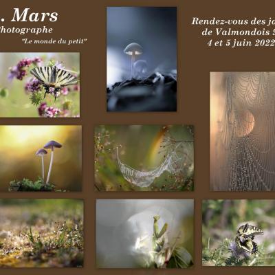 R v des jardins valmondois 4 et 5 juin 2022